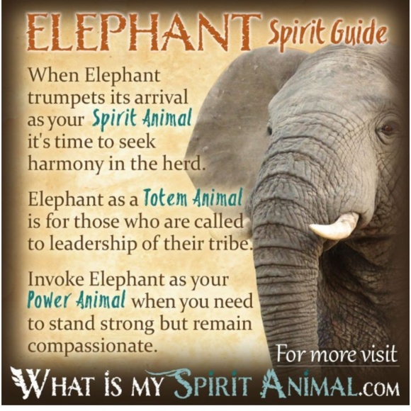 Elephant necklace Silver 💥 - Picture 4 of 4